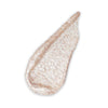 Facial Scrub - Bella Tokyo